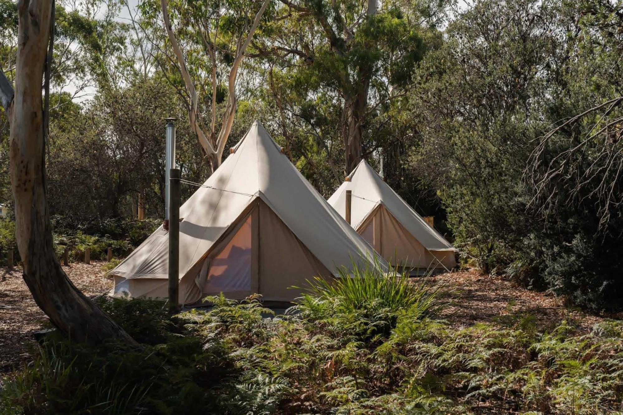 Hotel Numie - Freycinet Peninsula - Glamping - Heated - Waterfront Coles Bay Zewnętrze zdjęcie