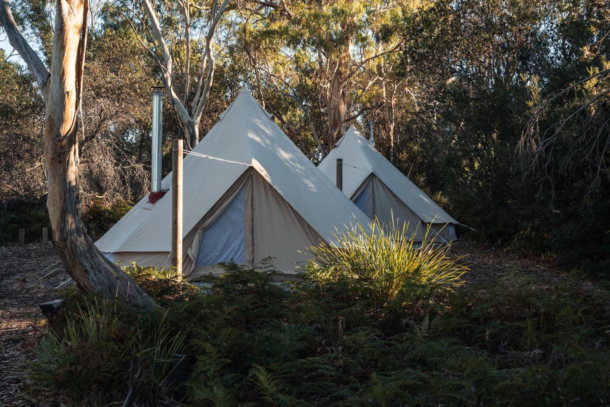 Hotel Numie - Freycinet Peninsula - Glamping - Heated - Waterfront Coles Bay Zewnętrze zdjęcie