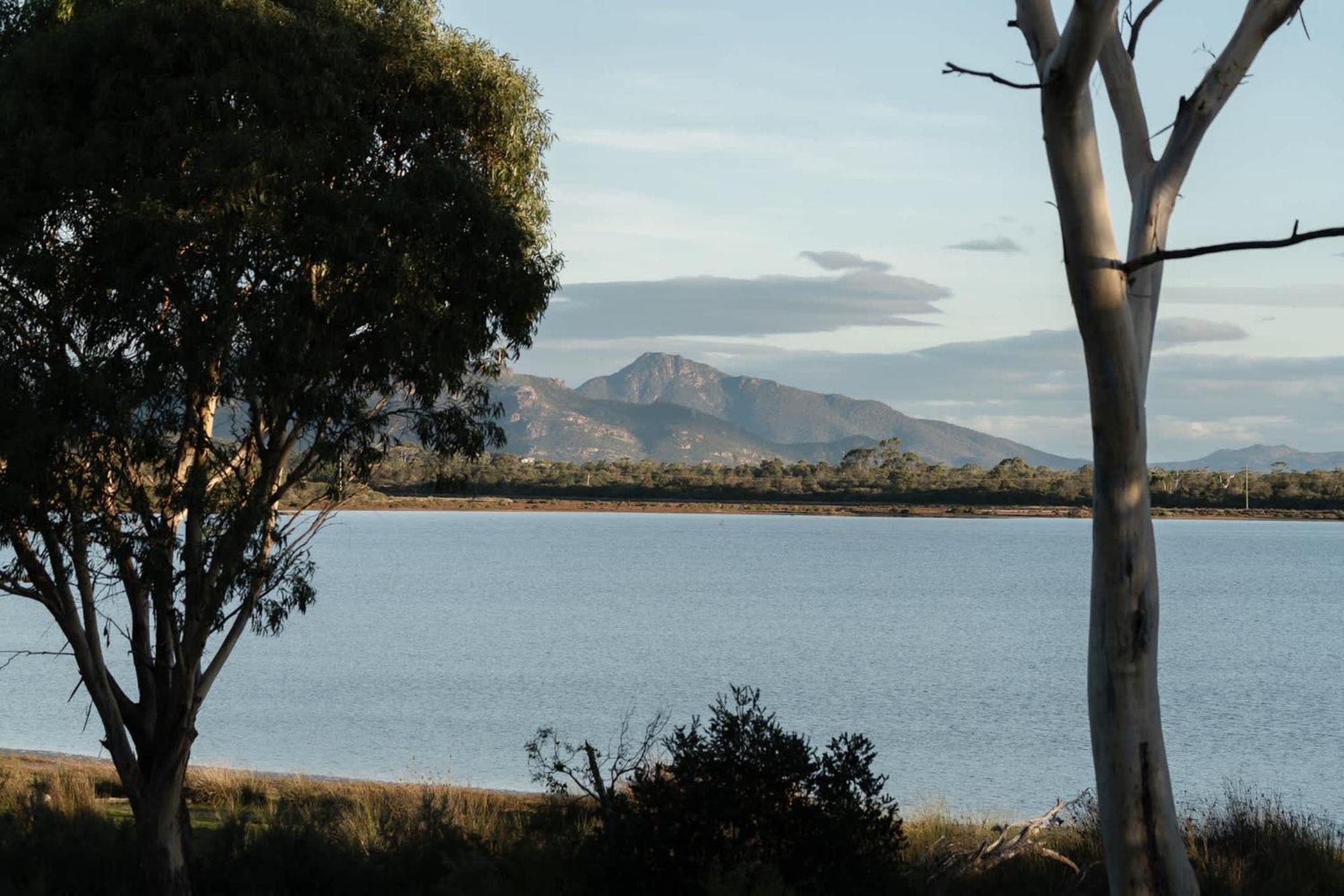 Hotel Numie - Freycinet Peninsula - Glamping - Heated - Waterfront Coles Bay Zewnętrze zdjęcie