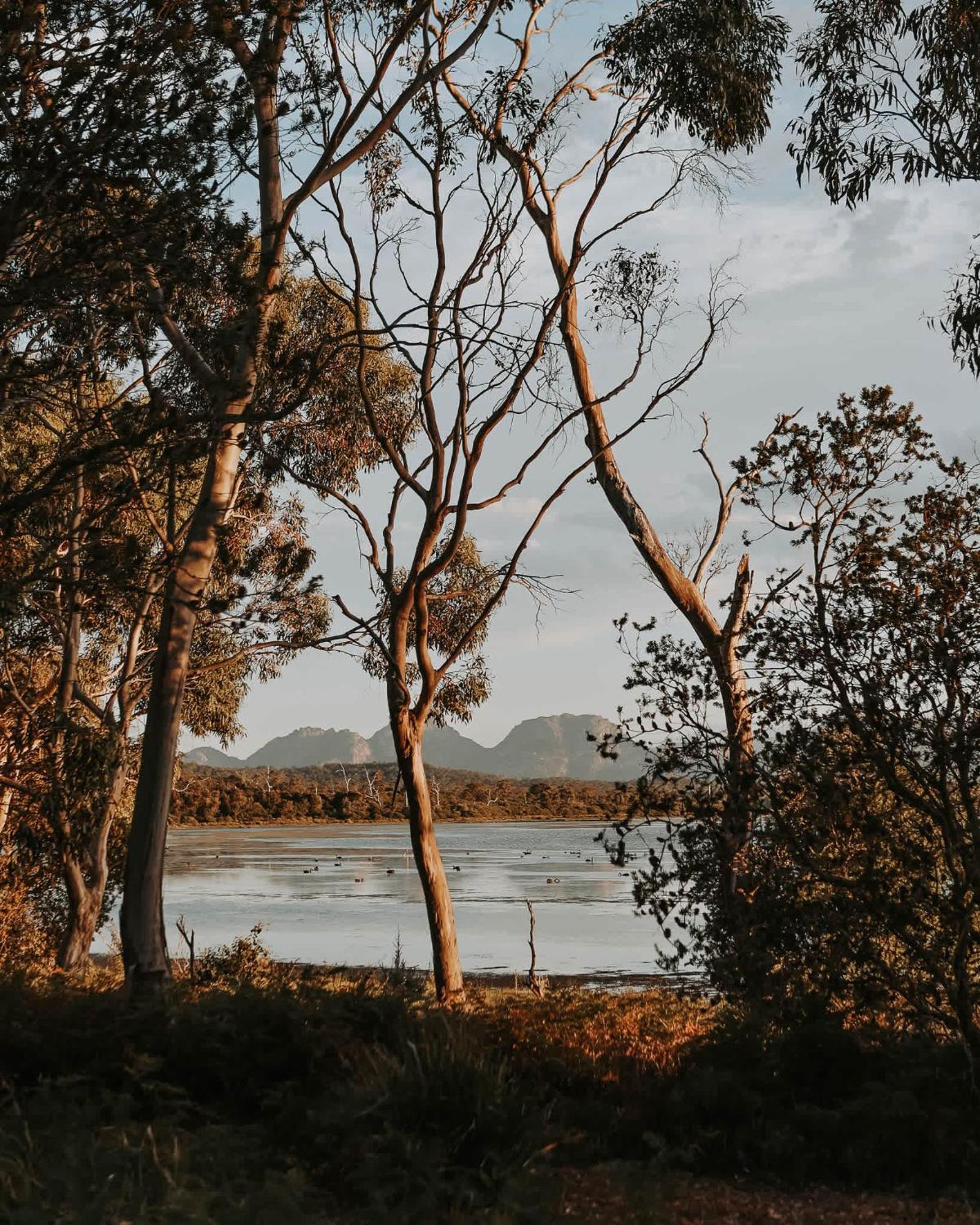 Hotel Numie - Freycinet Peninsula - Glamping - Heated - Waterfront Coles Bay Zewnętrze zdjęcie
